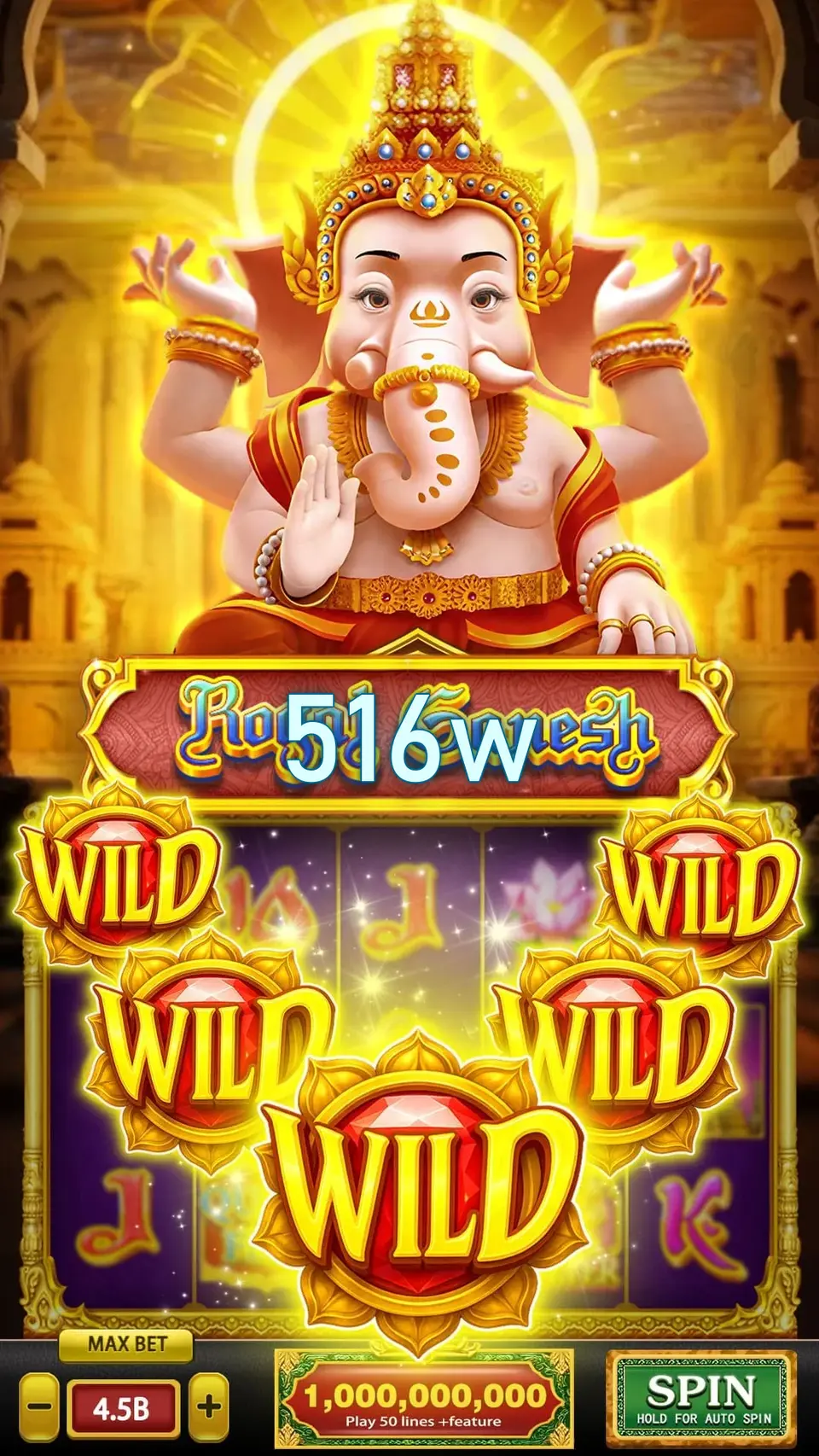 516w Login